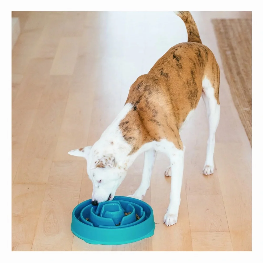 Teal Slow Feeder Dog Bowl